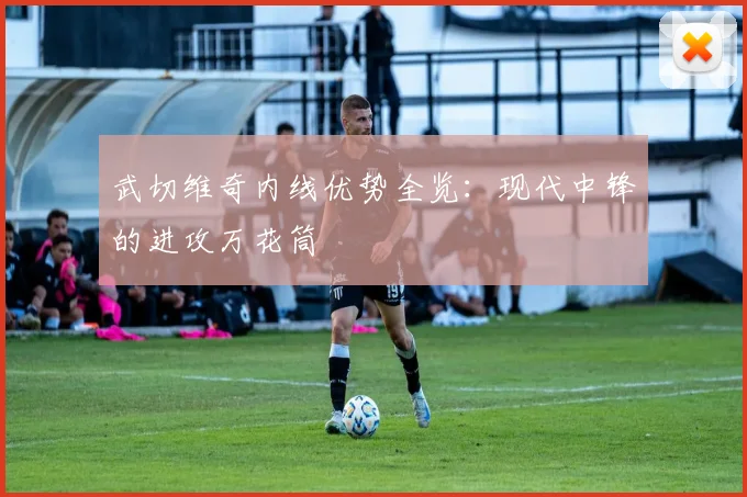 武切维奇内线优势全览：现代中锋的进攻万花筒