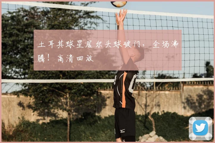 土耳其球星居尔头球破门,全场沸腾!高清回放